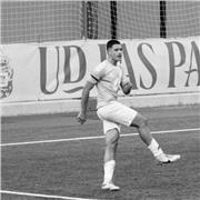 Entrenador Personal para deportistas o personas que quieran mejor su forma física y llevar una vida saludable, con experiencia y estudios como el TAFAD